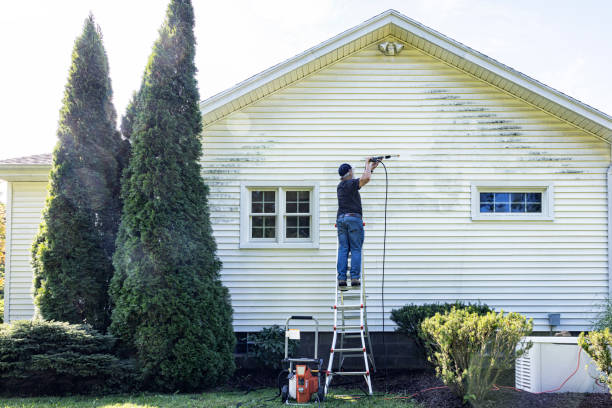 Best Exterior Home Cleaning  in Hilbert, WI